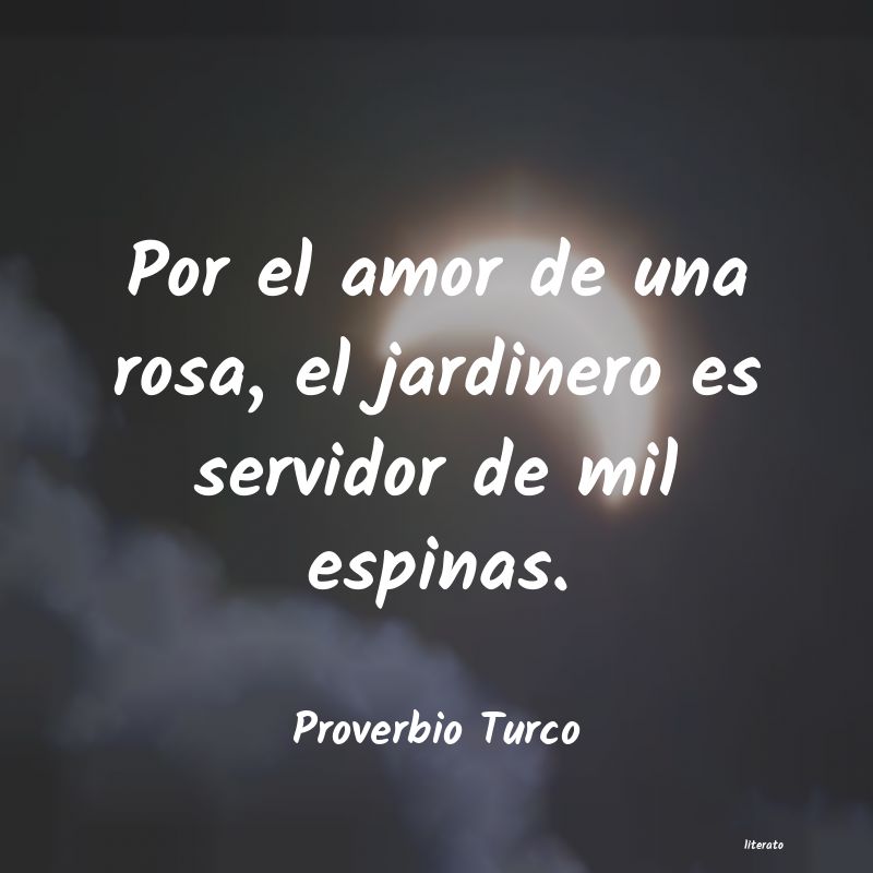 frases de amor posible