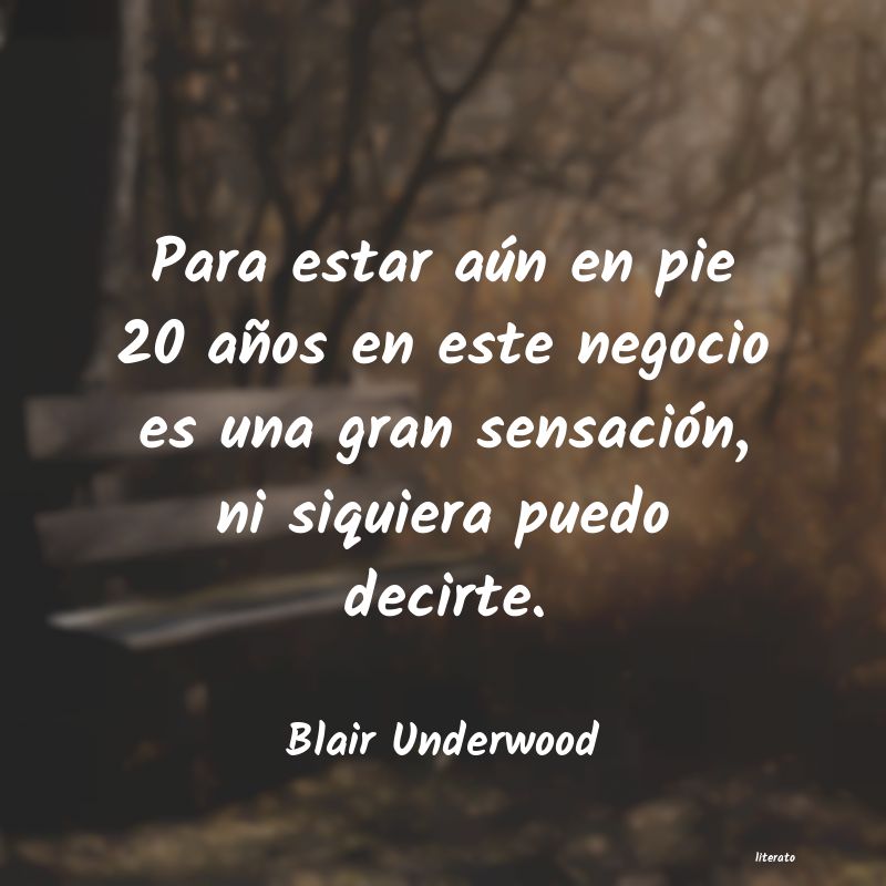 Frases de Blair Underwood