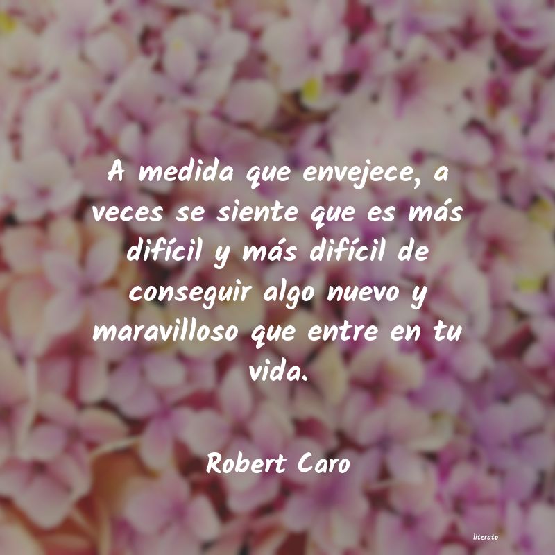 Frases de Robert Caro