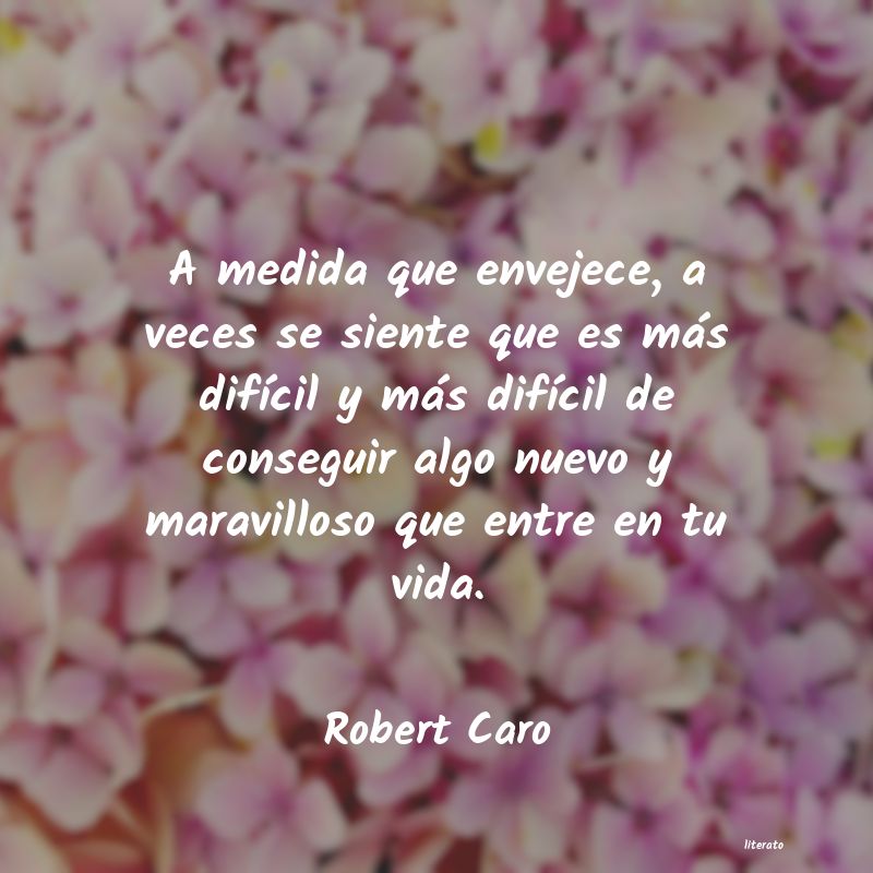 frases de Robert Caro