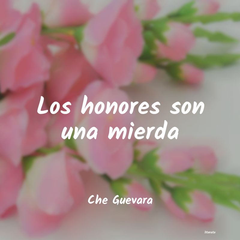 frases de Che Guevara