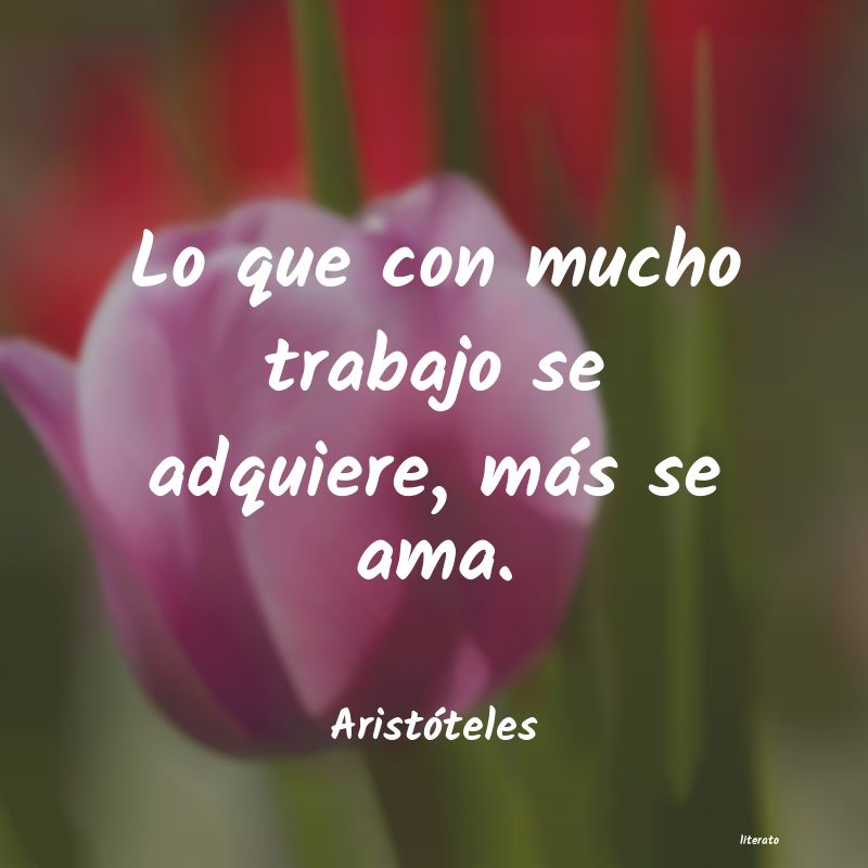 frases de Aristóteles