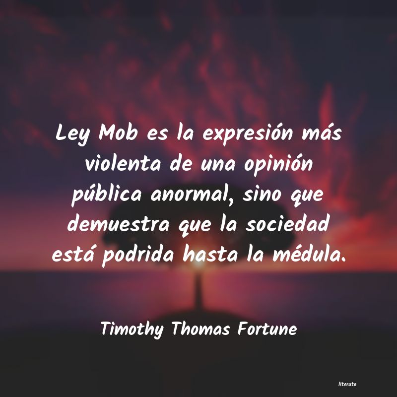 Frases de Timothy Thomas Fortune