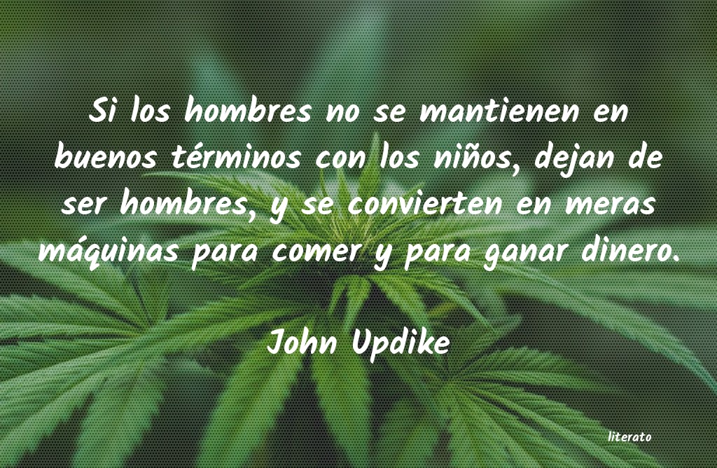 frases de John Updike