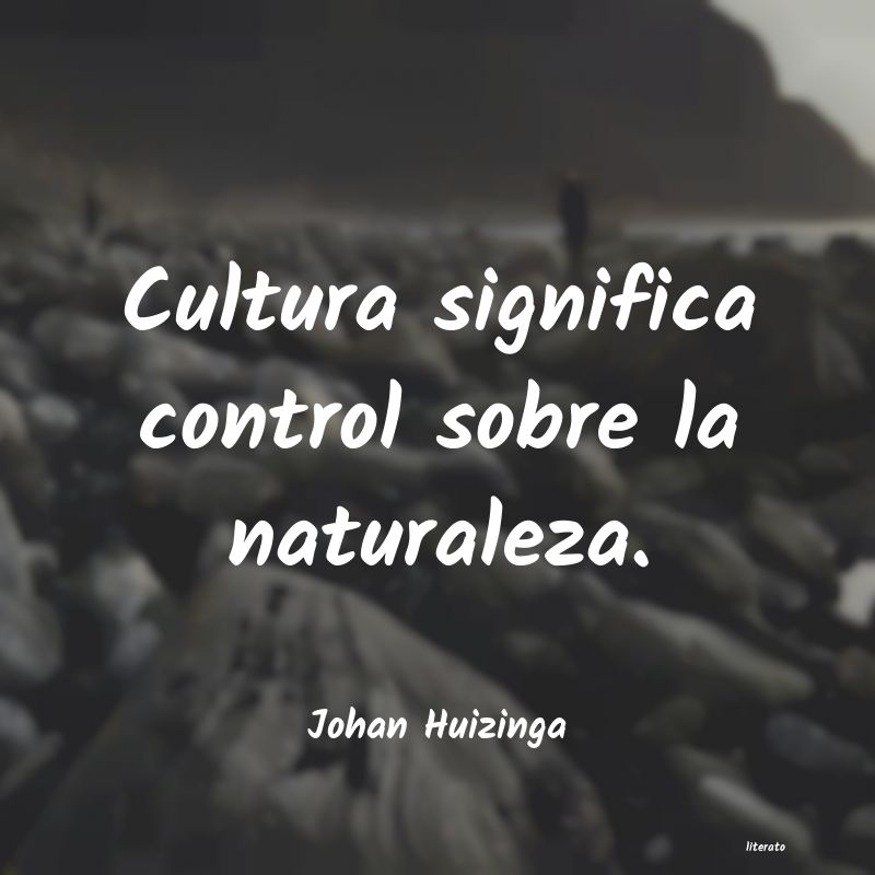 Frases de Johan Huizinga