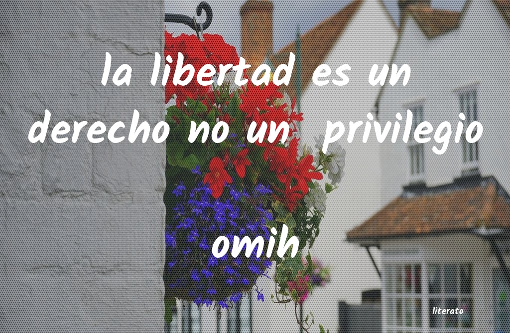 Frases de omih