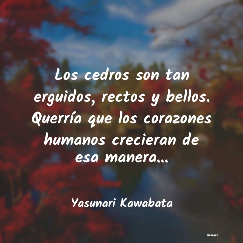 frases de Yasunari Kawabata