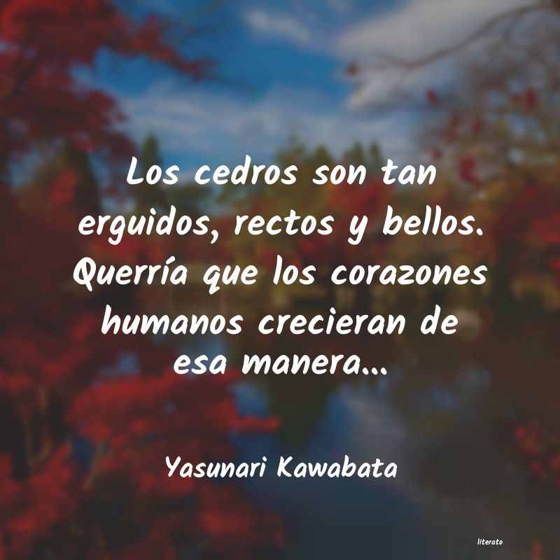 Frases de Yasunari Kawabata