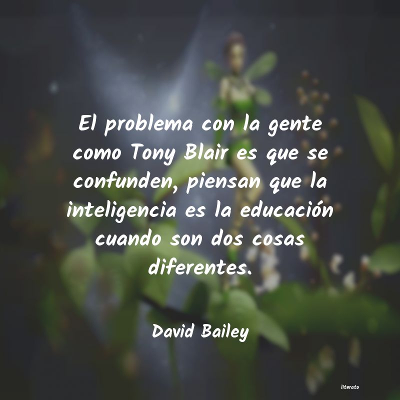 Frases de David Bailey