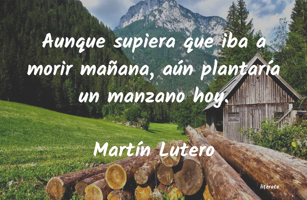 Frases de Martín Lutero