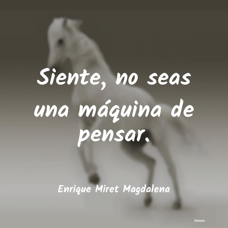 Frases de Enrique Miret Magdalena