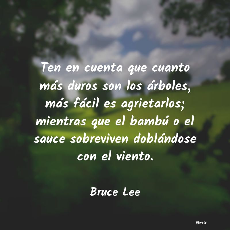 Frases de Bruce Lee