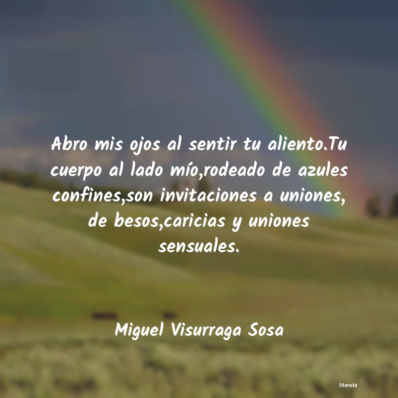 Frases de Miguel Visurraga Sosa