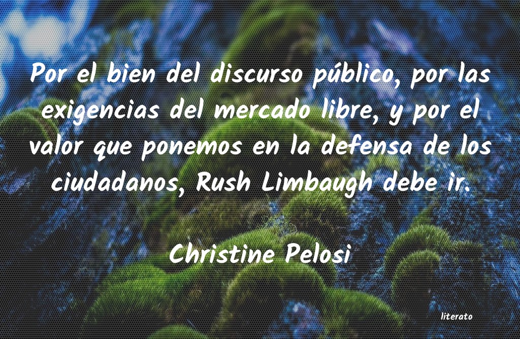 Frases de Christine Pelosi