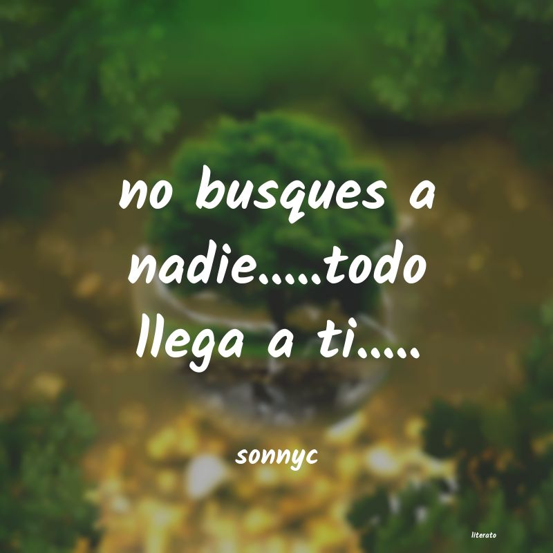 frases de sonnyc