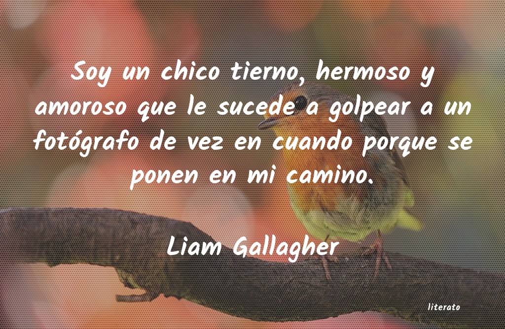 frases de Liam Gallagher