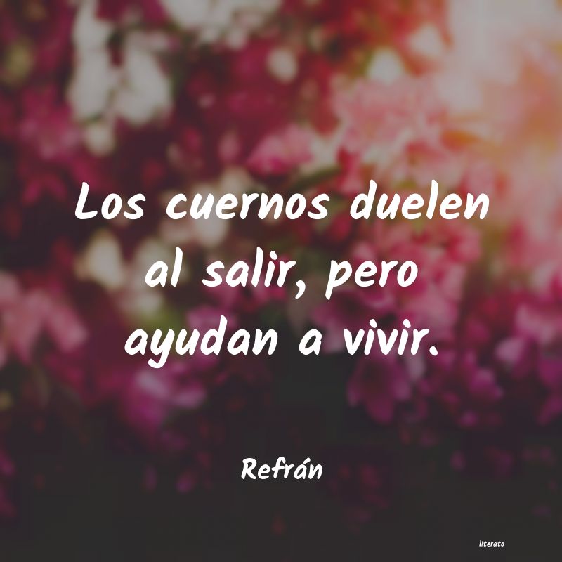 frases de Refrán