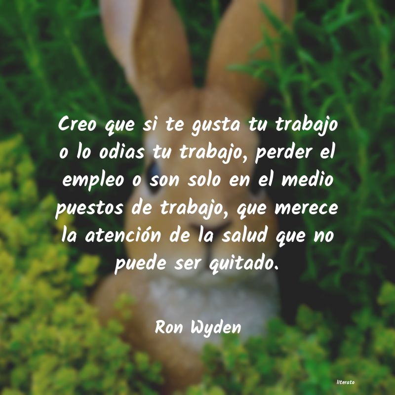 frases de Ron Wyden