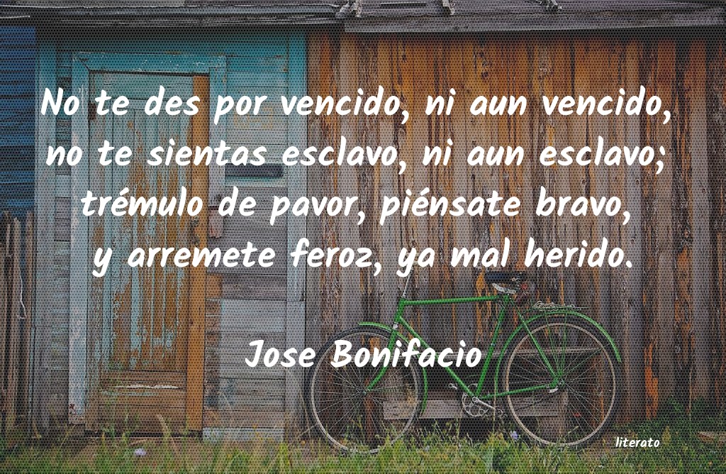 Frases de Jose Bonifacio