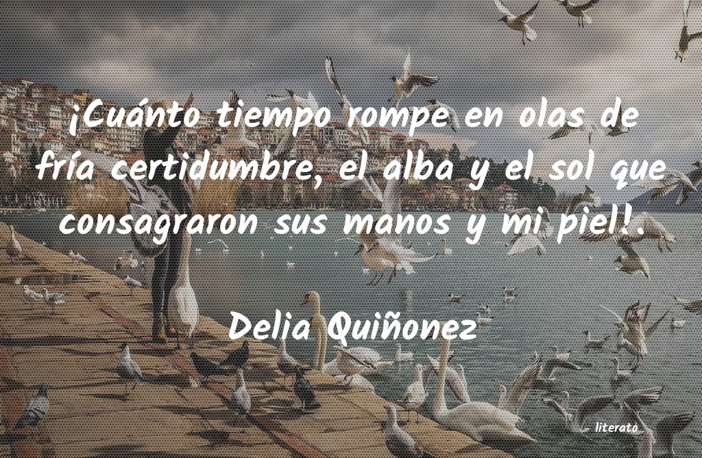 frases de Delia Quiñonez