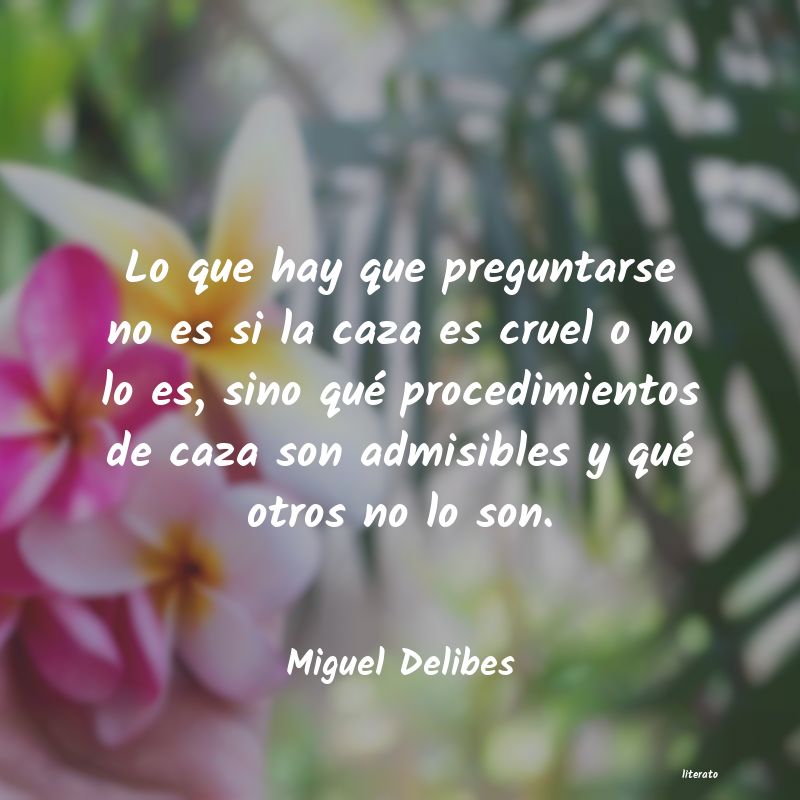 Frases de Miguel Delibes