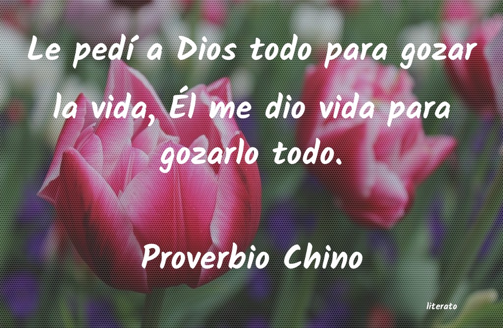frases de Proverbio Chino