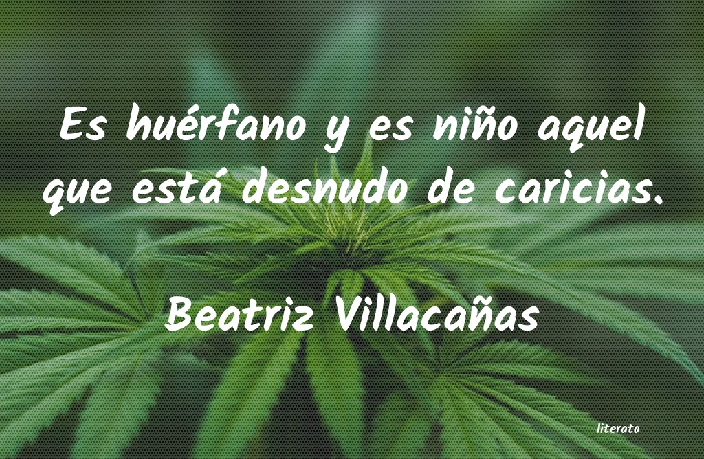 Frases de Beatriz Villacañas