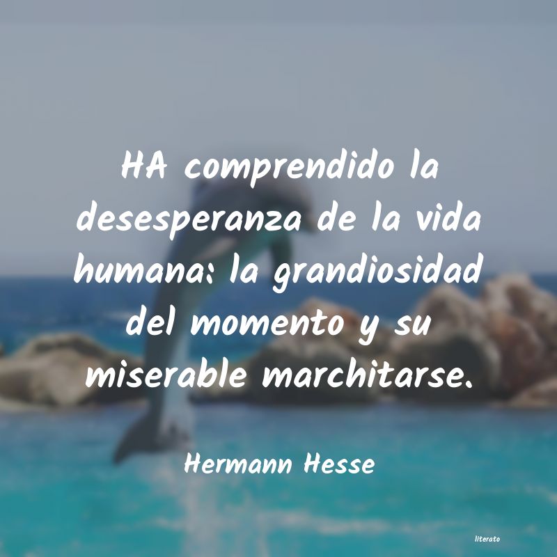 Frases de Hermann Hesse