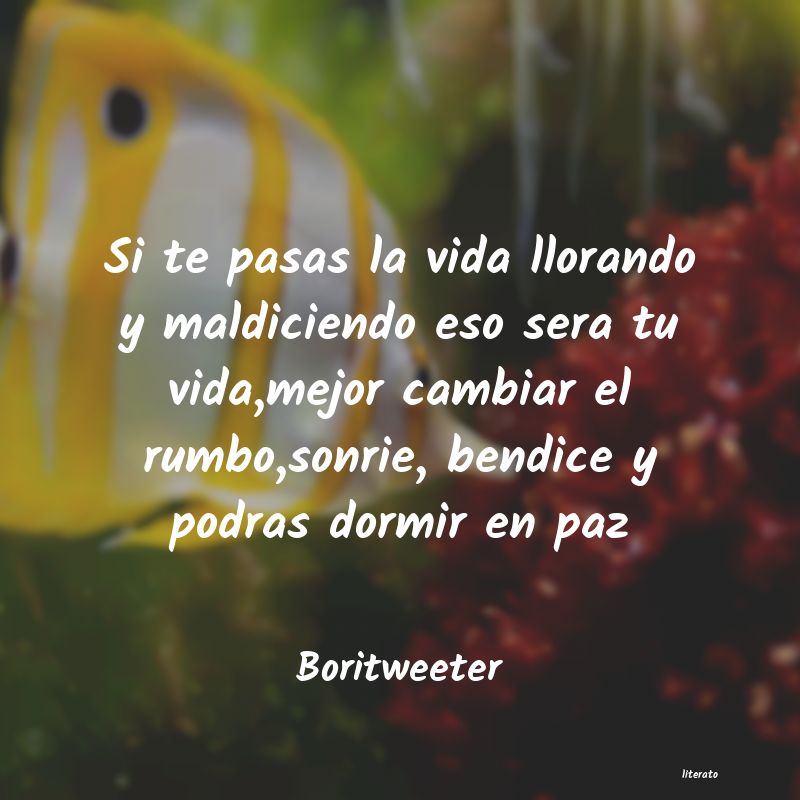 Frases de Boritweeter