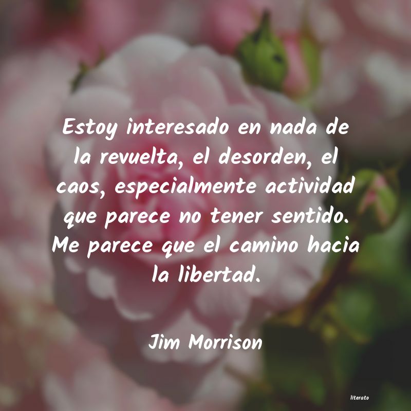 Frases de Jim Morrison