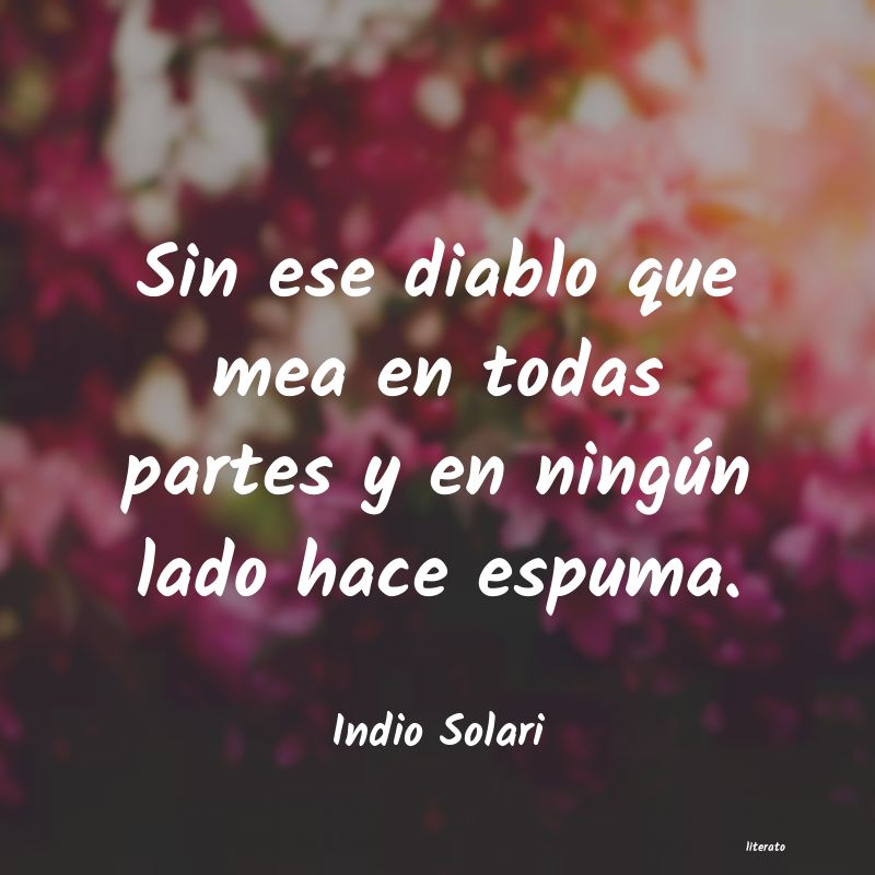 frases de Indio Solari