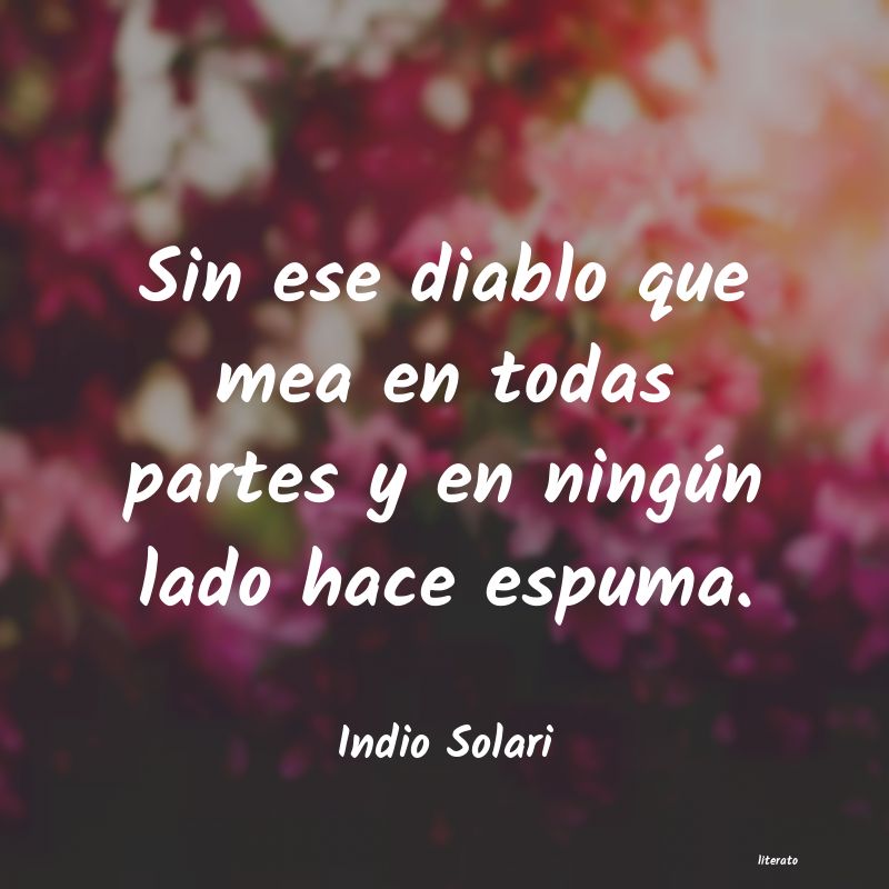 Frases de Indio Solari