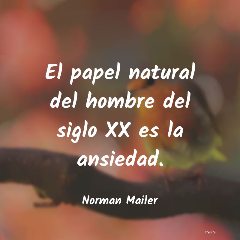 Frases de Norman Mailer