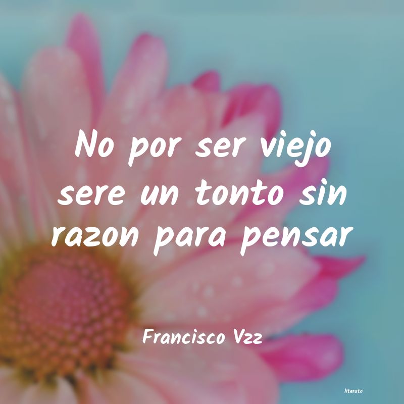 frases de Francisco Vzz
