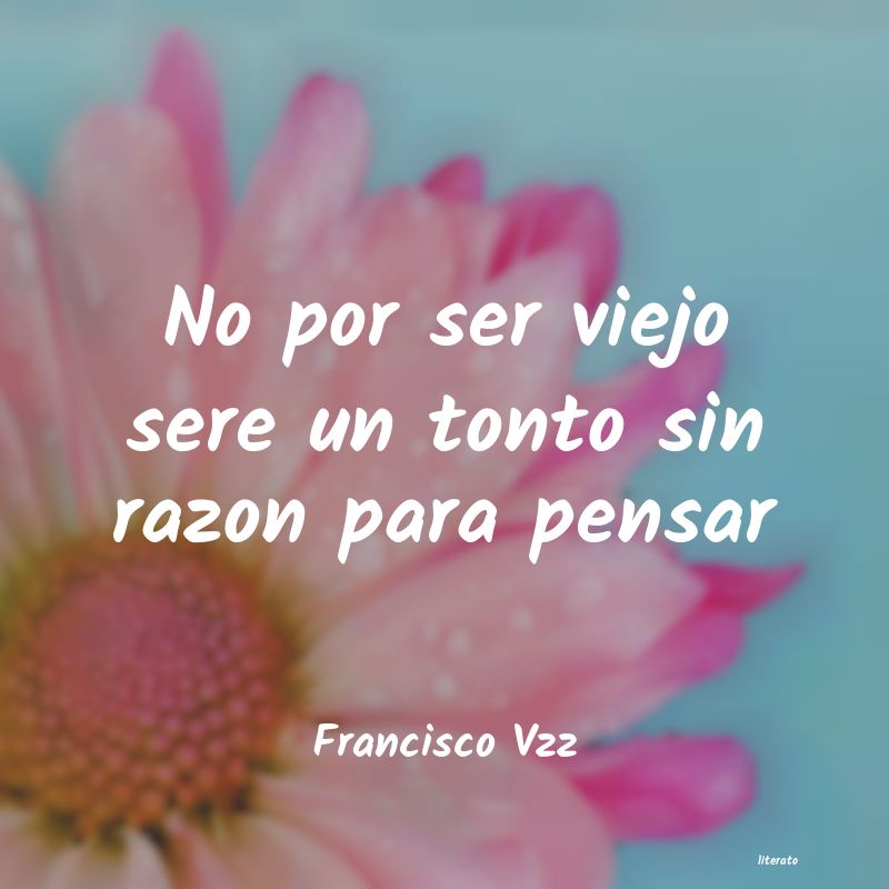 Frases de Francisco Vzz