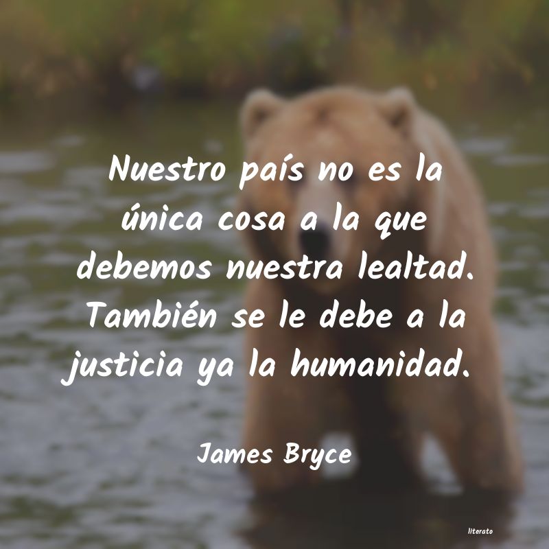 Frases de James Bryce