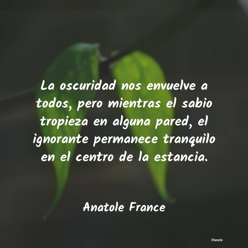 Frases de Anatole France