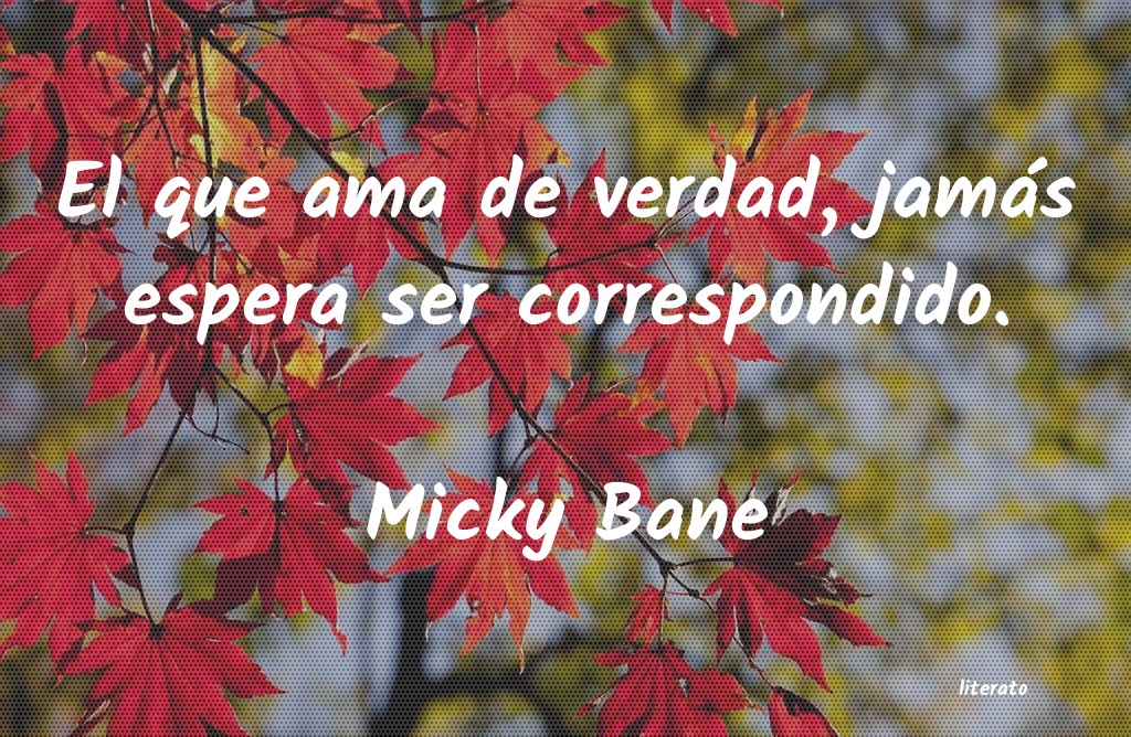 Frases de Micky Bane