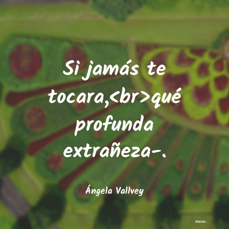 Frases de Ángela Vallvey