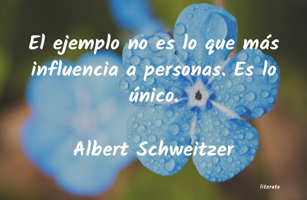 Frases de Albert Schweitzer