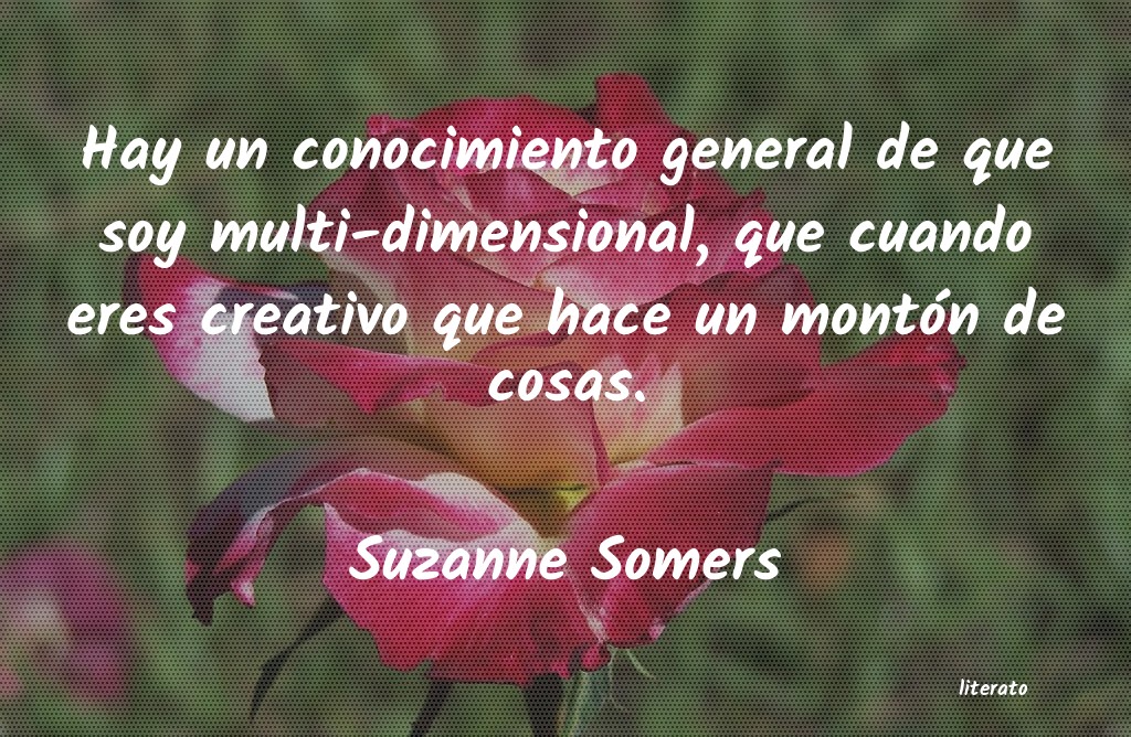 frases de Suzanne Somers