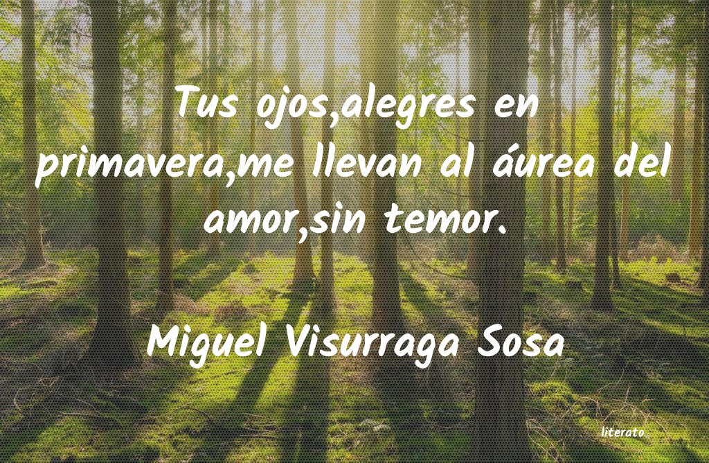 Frases de Miguel Visurraga Sosa