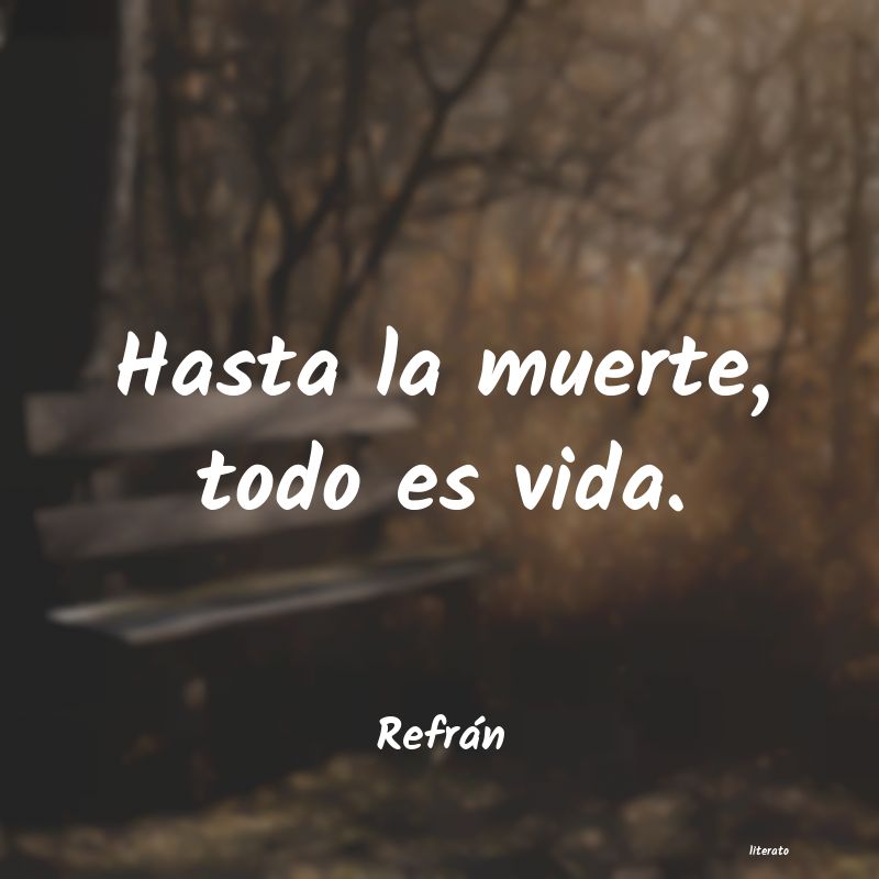 frases de Refrán