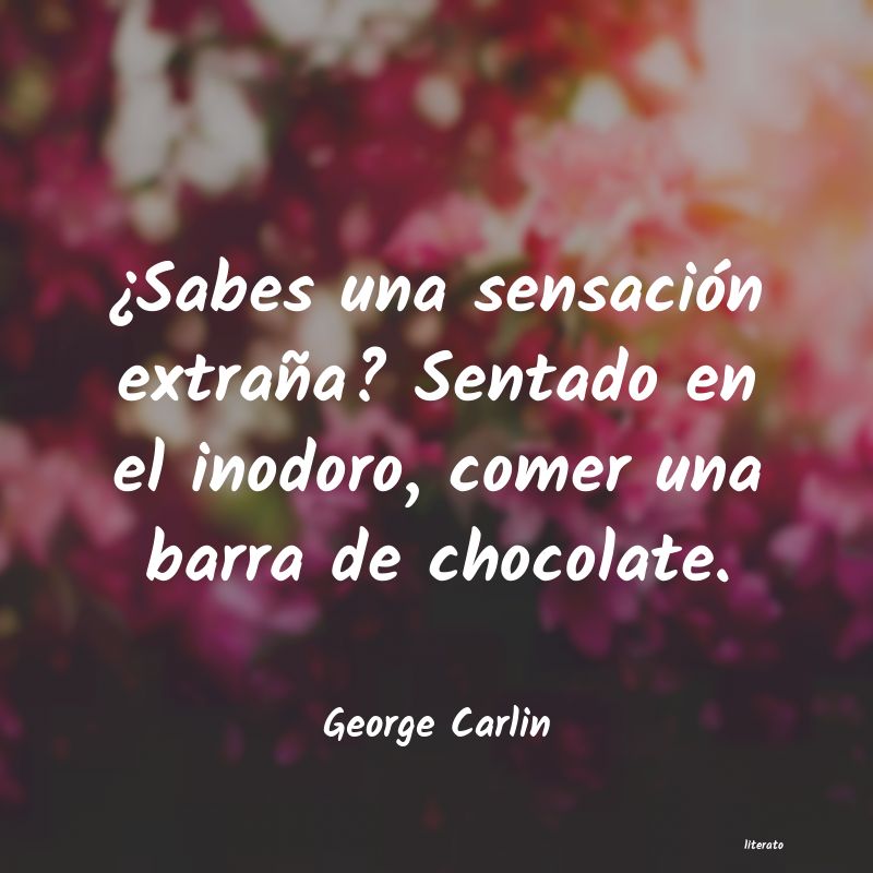 Frases de George Carlin