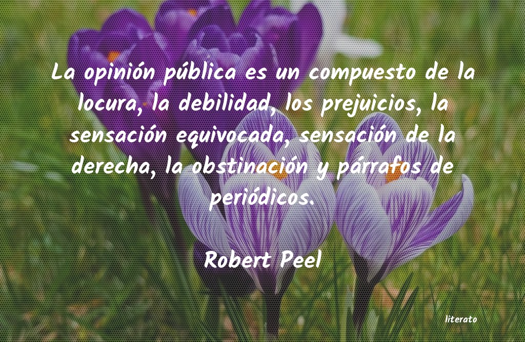 Frases de Robert Peel