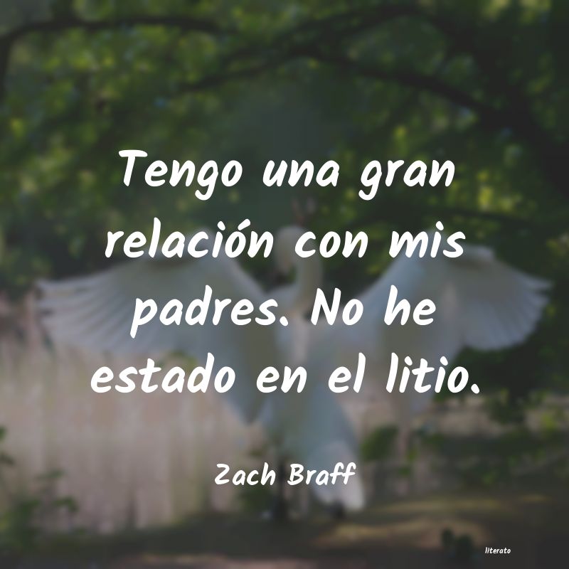 Frases de Zach Braff