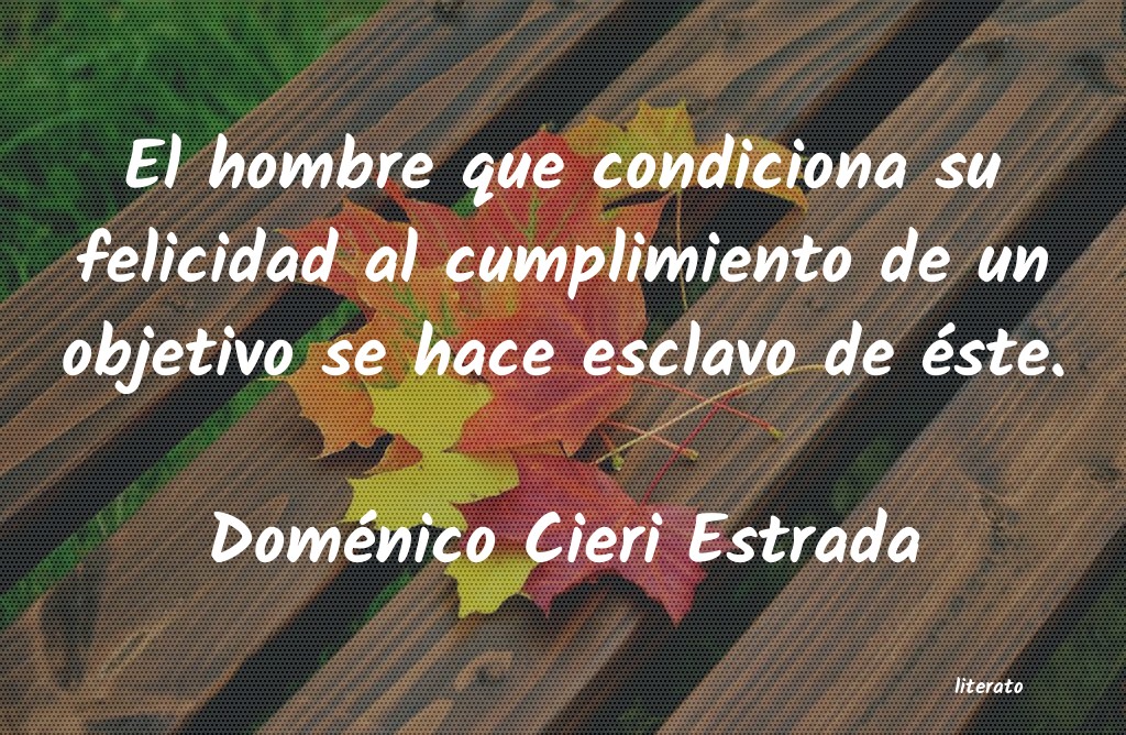 Frases de Doménico Cieri Estrada