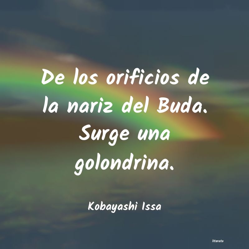 frases de Kobayashi Issa