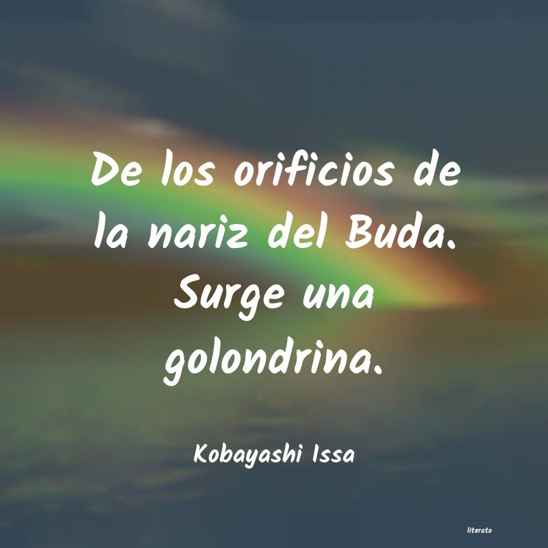 Frases de Kobayashi Issa