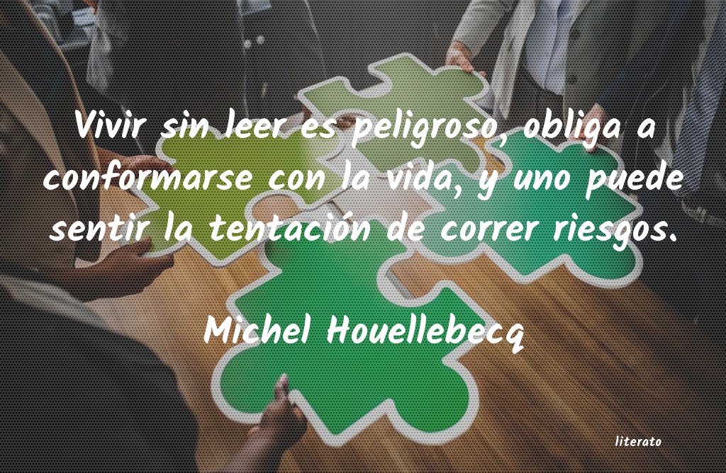 Frases de Michel Houellebecq